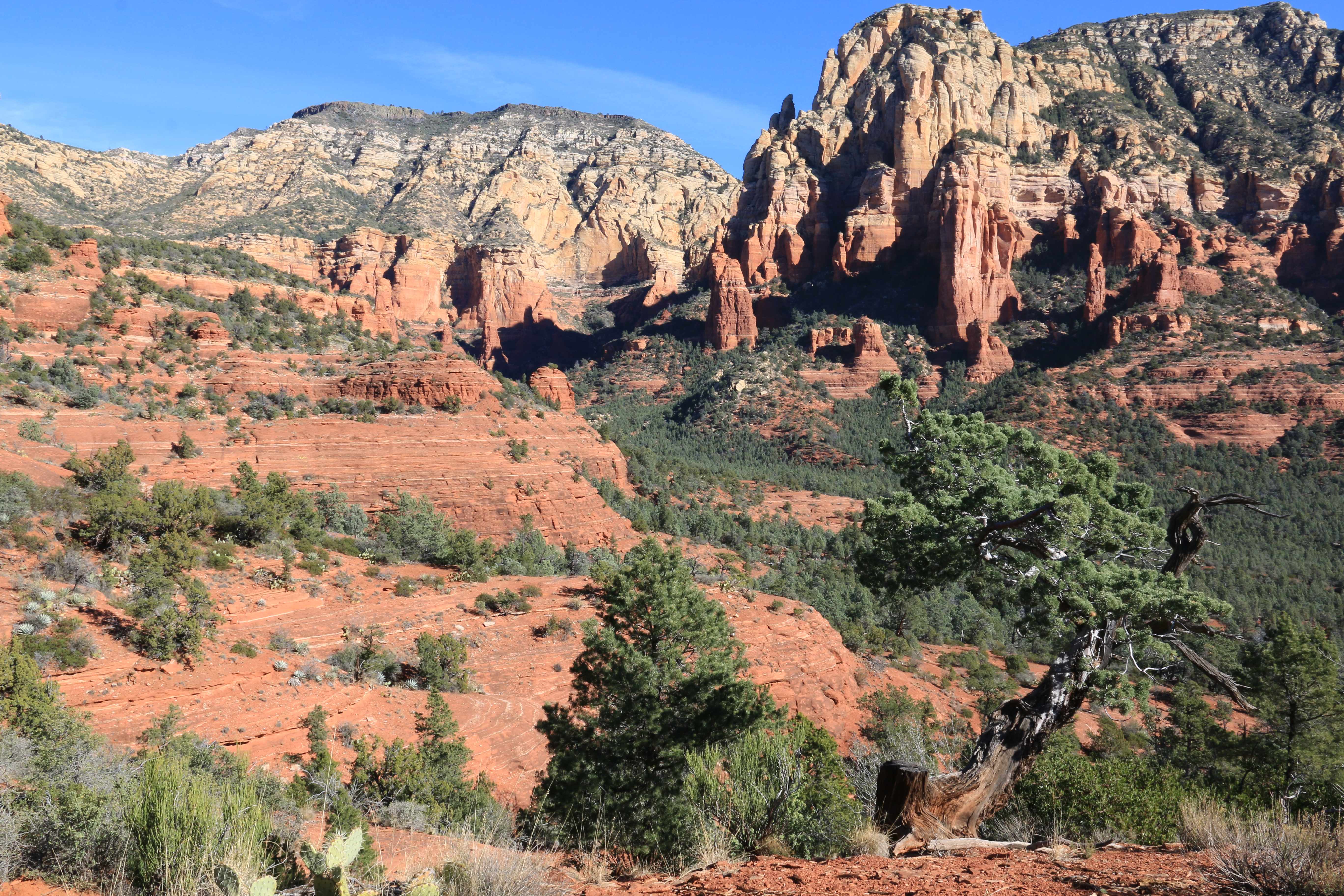 Sedona